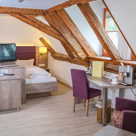 호텔 Bodensee Sternen 3*