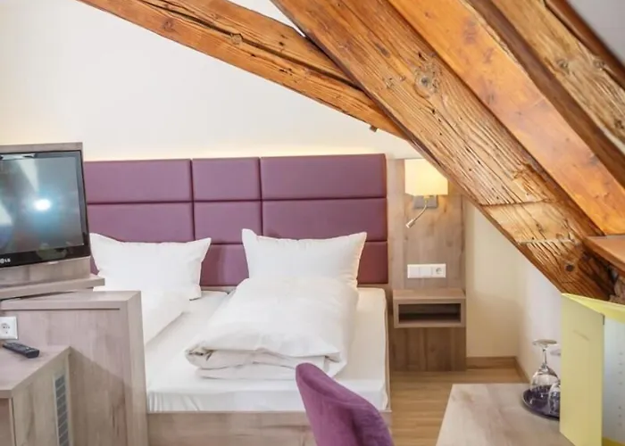 فندق Akzent Sternen 3*